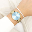 Montre Oozoo Vintage C20343