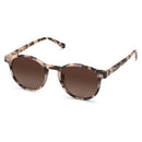 Lunettes de Soleil Kapten & Son Marais Sand Tortoise Brown - PRECIOVS