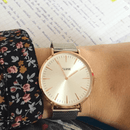 Montre CLUSE La Bohème Boho Chic Mesh Rose Gold/Silver CW0101201006 - PRECIOVS