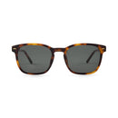 Lunettes de Soleil Kapten & Son Pasadena Tortoise Green - PRECIOVS