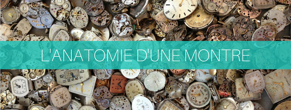 L'anatomie d'une montre: on vous dit tout
