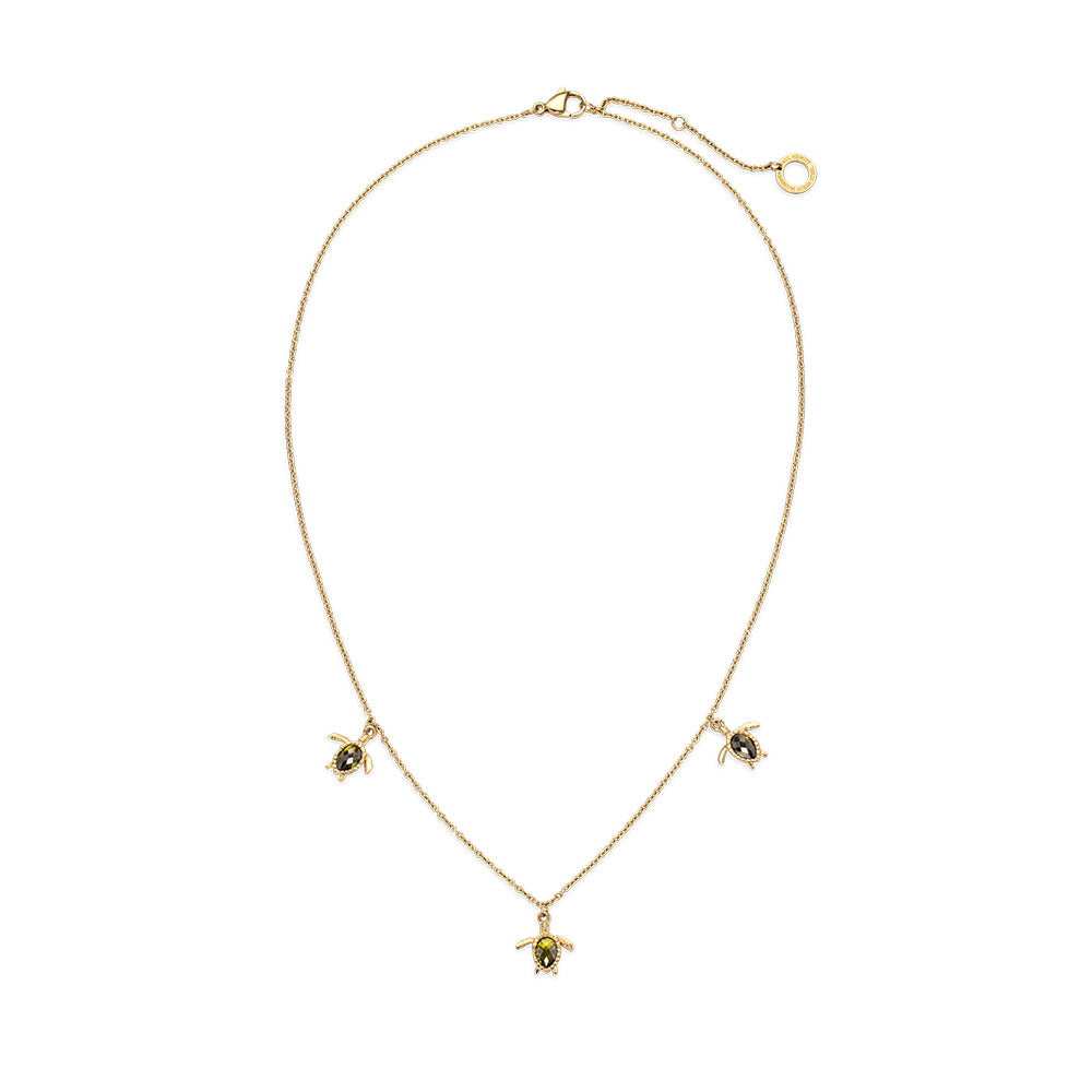 Ensemble de bijoux Paul Hewitt Tortues Or jaune - PRECIOVS