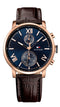 Montre Tommy Hilfiger Alden 1791308 - PRECIOVS