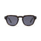 Lunettes de Soleil Kapten & Son Boston Dark Tortoise Black - PRECIOVS