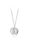 Collier MYA BAY History CO-81.S - PRECIOVS