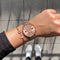 Montre Paul Hewitt Everpulse Line Rose Sunray IP Or Rosé Bande Mesh IP Or Rosé - PRECIOVS