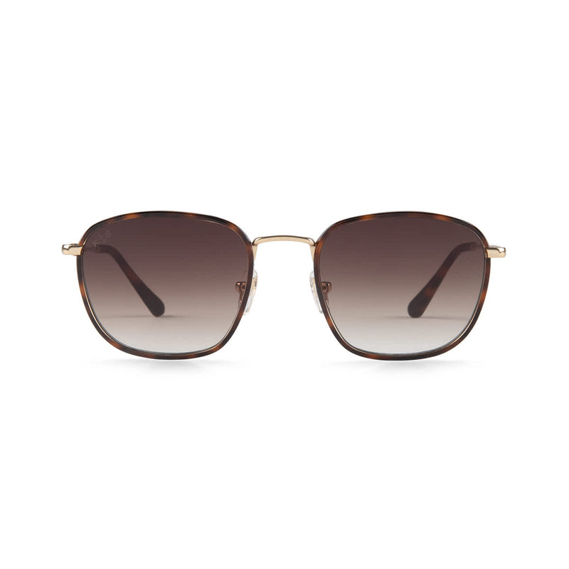 Lunettes de Soleil Kapten & Son Williamsburg Tortoise Brown - PRECIOVS