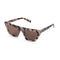 Lunettes de Soleil Kapten & Son Calais Mineral Tortoise Brown - PRECIOVS