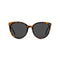 Lunettes de Soleil Kapten & Son Manhattan Dark Tortoise Black - PRECIOVS