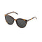 Lunettes de Soleil Kapten & Son Manhattan Dark Tortoise Black - PRECIOVS