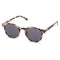 Lunettes de Soleil Kapten & Son Marais Sand Tortoise Black - PRECIOVS